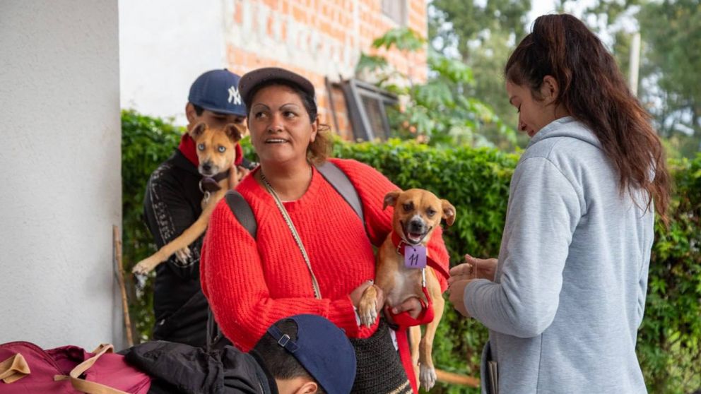 Nuevo operativo para mascotas en la Ribera de Bernal