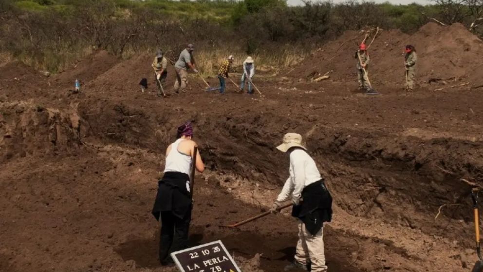 Los trabajos de excavaci�n en los alrededores del predio.