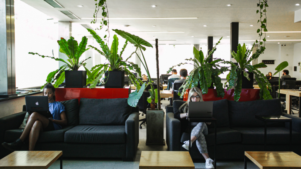 Coworking en Argentina: qué es, para qué sirve y por qué cada vez más trabajadores eligen esta opción