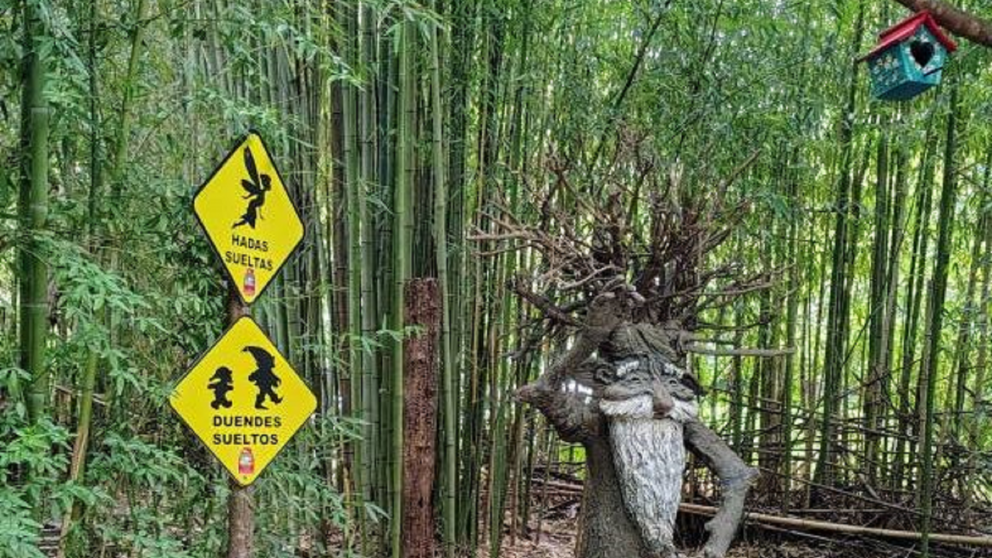 Un bosque encantado y lleno de misterio que parece sacado de un cuento