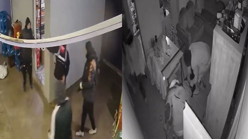 El violento asalto quedó registrado por las cámaras de seguridad de la vivienda (Captura video).