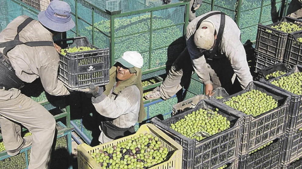 Crisis en el campo: las economías regionales siguen sin recuperarse y ya hay varios sectores en rojo