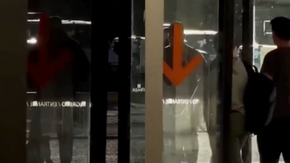 El perro que había ingresado al edificio para resguardarse del frío.