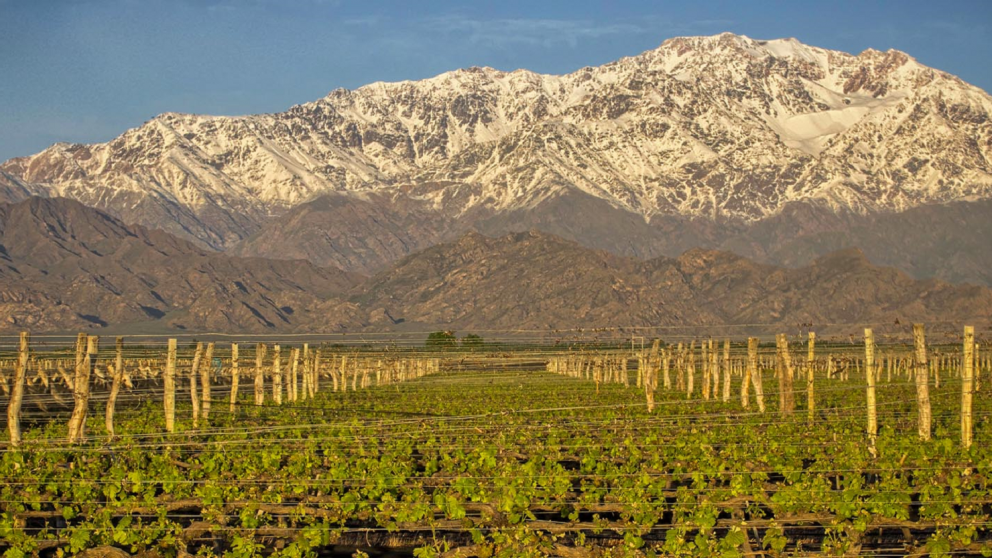 Los paisajes entre vi�edos y caminos arbolados convierten a este destino en uno de los m�s elegidos de Mendoza.