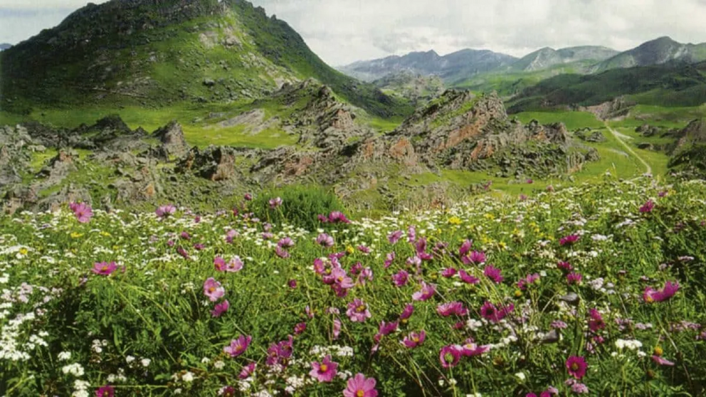 Las extrañas formaciones rocosas y los contrastes naturales convierten al lugar en uno de los paisajes más sorprendentes del norte argentino.