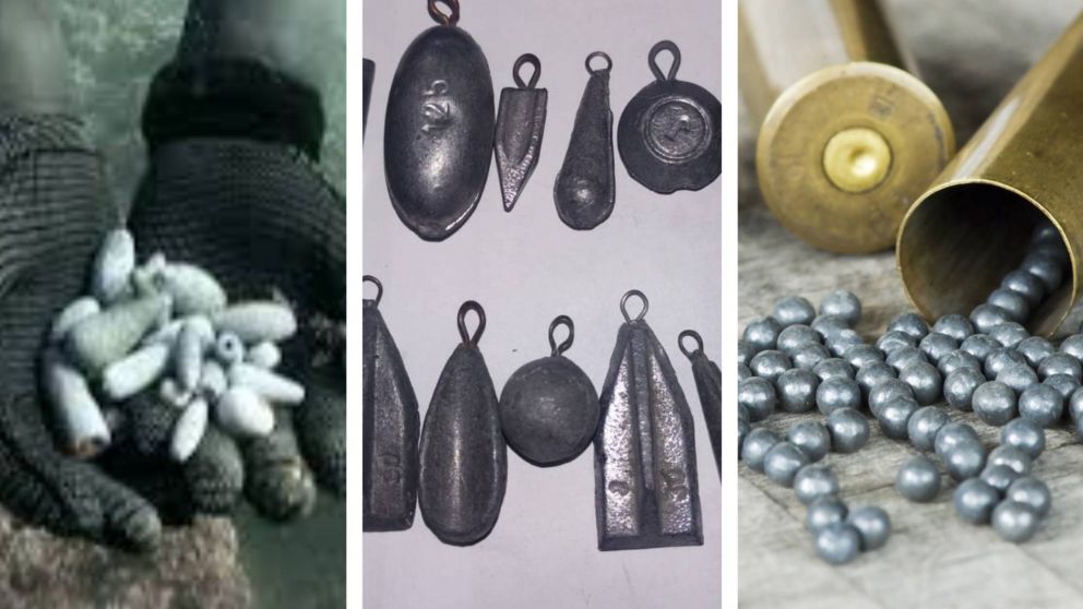 Crónica Pesca: el pique de la semana, noticias y detalles claves.