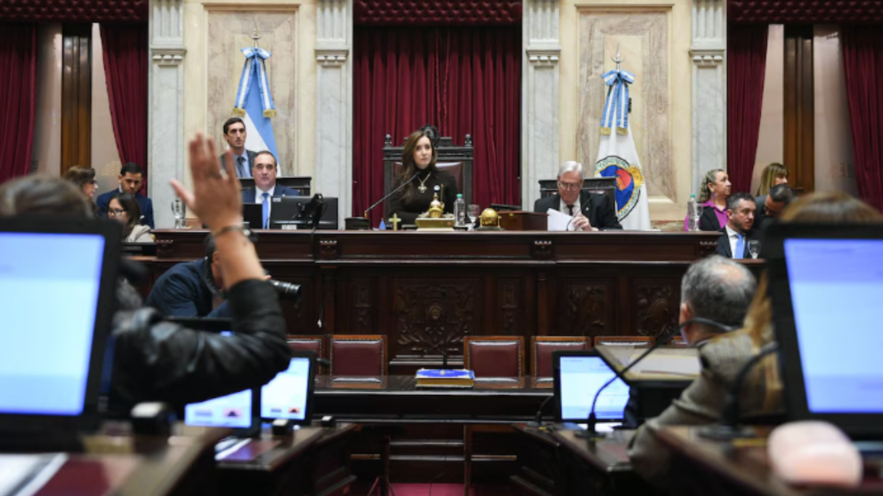 El Senado aprob� la ley sobre regularizaci�n de armas y prorrog� el sistema de entrega voluntaria hasta 2027