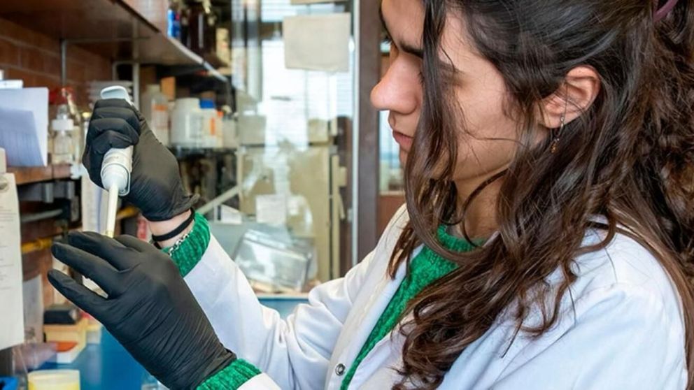 Importante avance para la ciencia argentina.