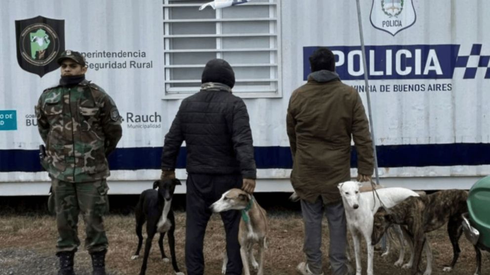 Los hombres demorados y los perros (Gentileza 0223).