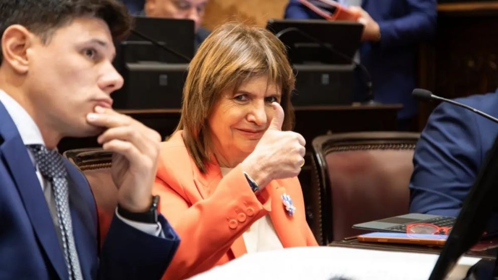 Patricia Bullrich propone tratar por separado los proyectos de Ficha Limpia y eliminación de las PASO.