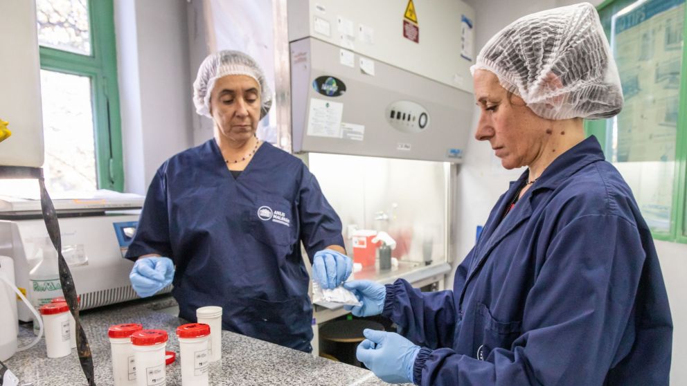 Ya son 105 los casos de hantavirus en la temporada 2025-2026 (Foto archivo).