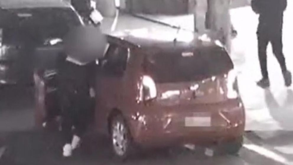 El malhechor liberó a la criatura y se dio a la fuga (Captura de video).