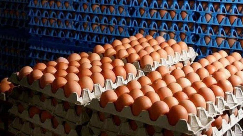 Argentina complet� el cupo exportador de huevos hacia la Uni�n Europea.