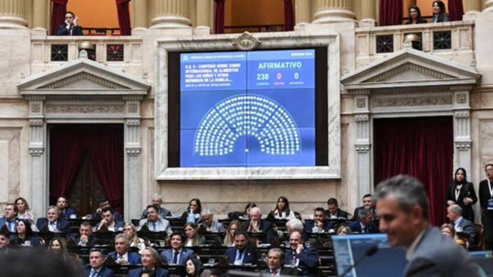 �EN VIVO! Diputados debate los cambios en el r�gimen de subsidios al gas en las zonas fr�as.