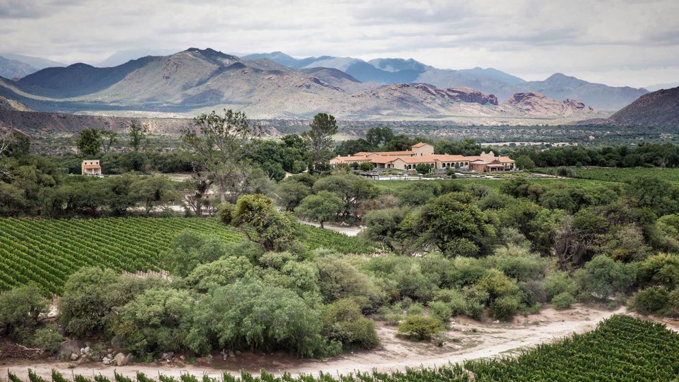 Los viñedos rodeados de montañas y los paisajes de altura convierten a este rincón salteño en una de las escapadas más sorprendentes del país.