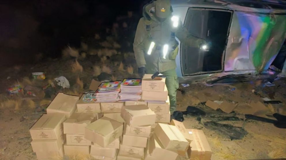 Un ciudadano de nacionalidad peruana fue detenido en la provincia luego de volcar su veh�culo en la Ruta N� 7. 