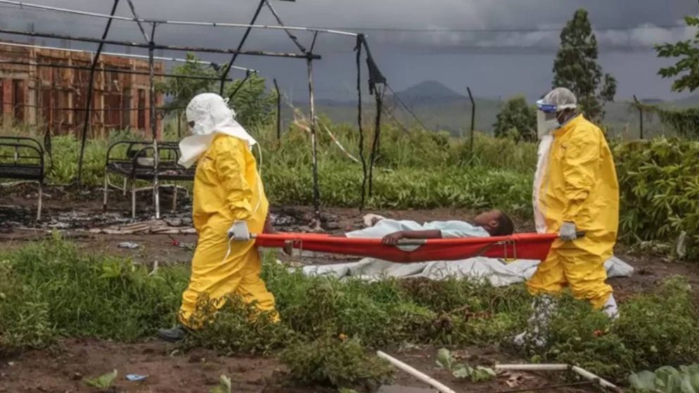 La OMS advirtió que la epidemia de ébola en África avanza rápido y hay alerta en Europa.
