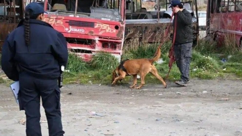 Tras un vasto operativo, el cuerpo de la mujer de 52 a�os fue hallado cerca del Cementerio Municipal (La Troche digital).