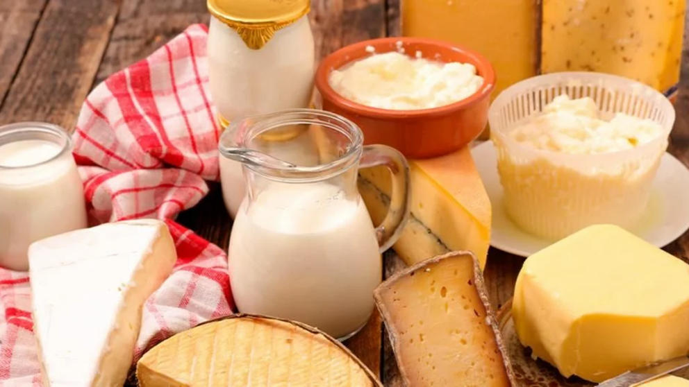 Lacteos: preparaciones simples, saludables y llenas de beneficios para incluirlos en desayunos, meriendas o comidas.