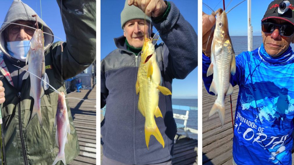 Crónica Pesca: el pique de la semana, noticias y detalles claves.