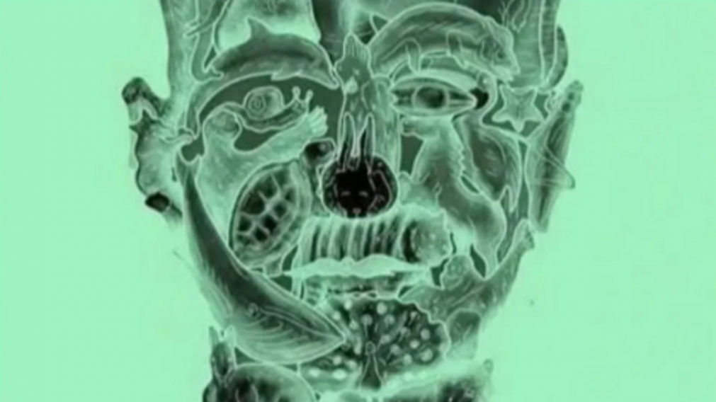 El reto propone identificar el primer animal que aparece oculto dentro de una compleja ilustraci�n.

