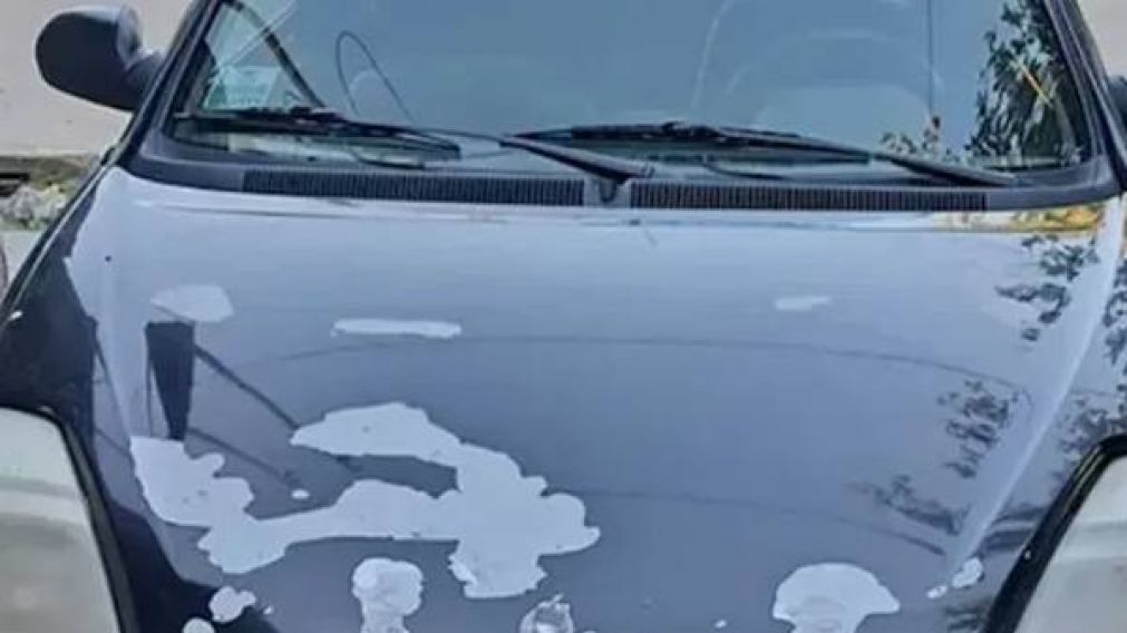El auto que est� siendo investigado. 