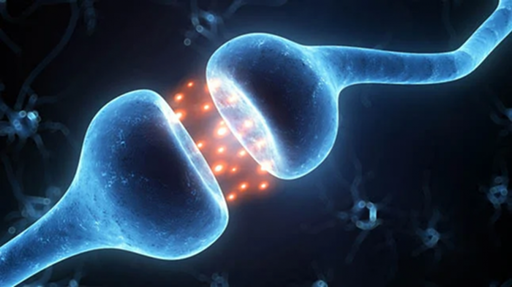 Qué es la miastenia gravis, la enfermedad que ataca los músculos y tarda años en diagnosticarse