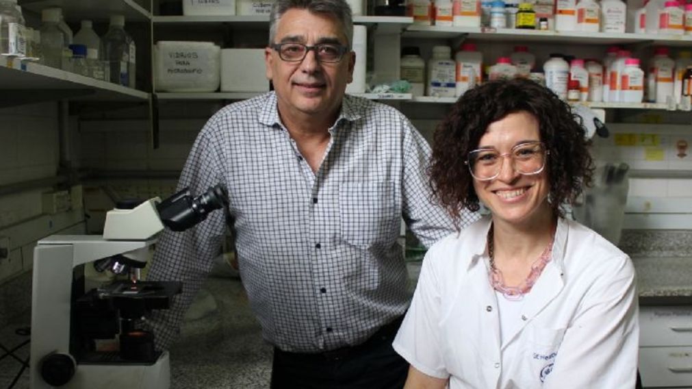 Esperanza para niños con neuroblastoma: un desarrollo de la UNQ mejora la sobrevida de pacientes