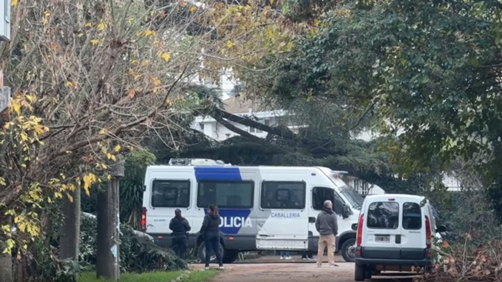 Los primeros detalles oficiales de la muerte del Indio Solari: su cuidadora lo encontr� al lado de la pileta