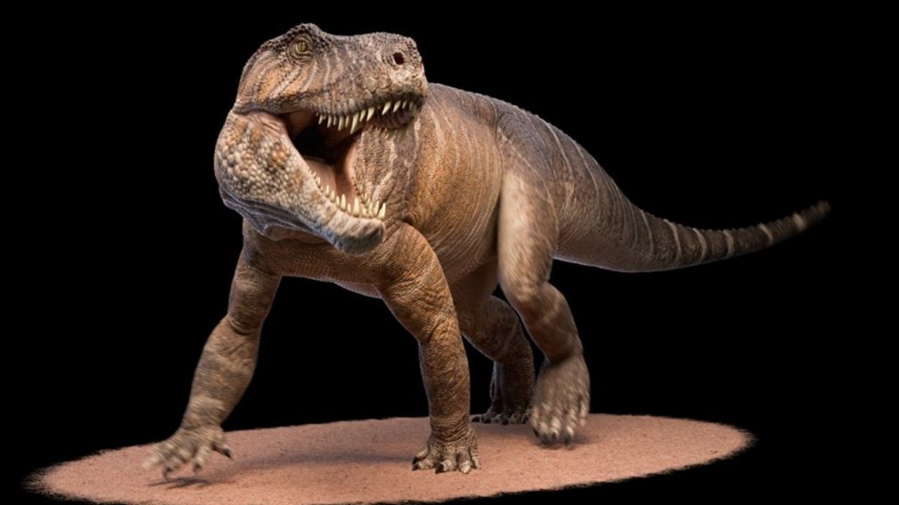 El "Shakajlura riojanensis", cuyo nombre puede traducirse como "lagarto bendito de La Rioja".