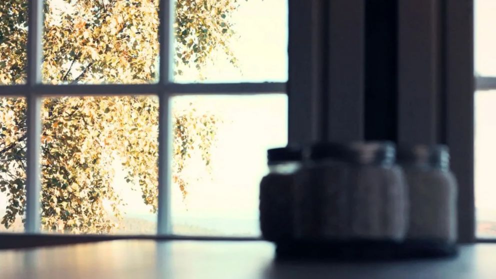 ¿Por qué recomiendan poner sal en la ventana en invierno?.