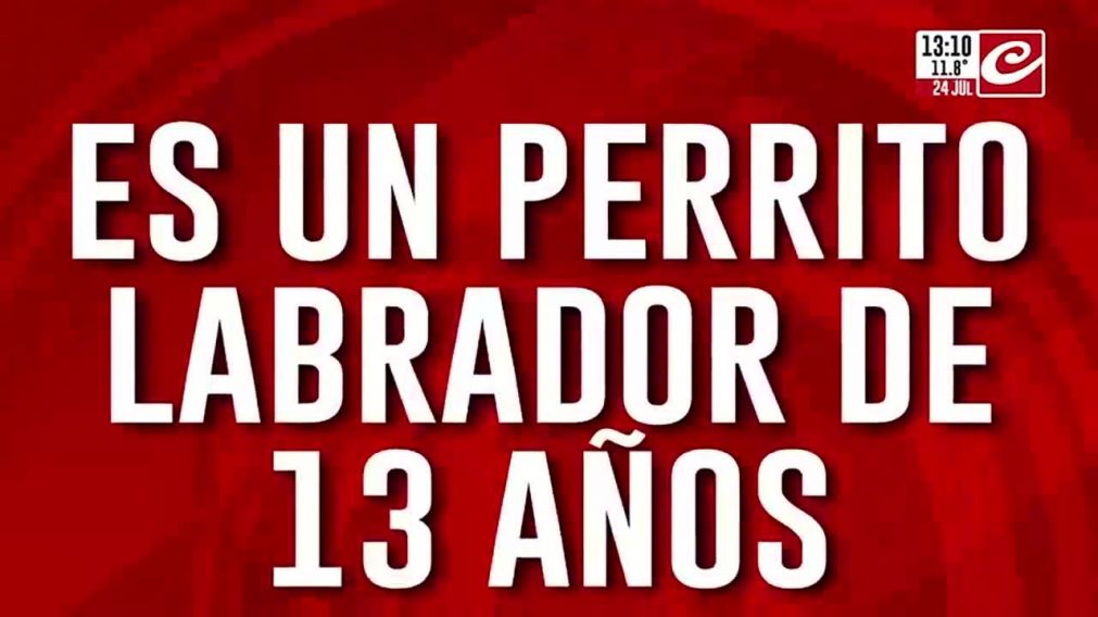 Crónica HD