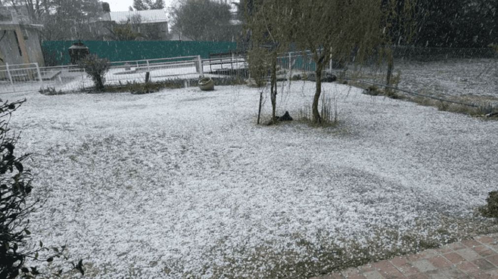Urgente: alerta meteorológica por viento, nevadas y frío extremo, ¿cuáles son las provincias afectadas?