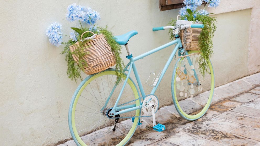 Us� una bicicleta vieja como soporte para plantas y dale una nueva utilidad.