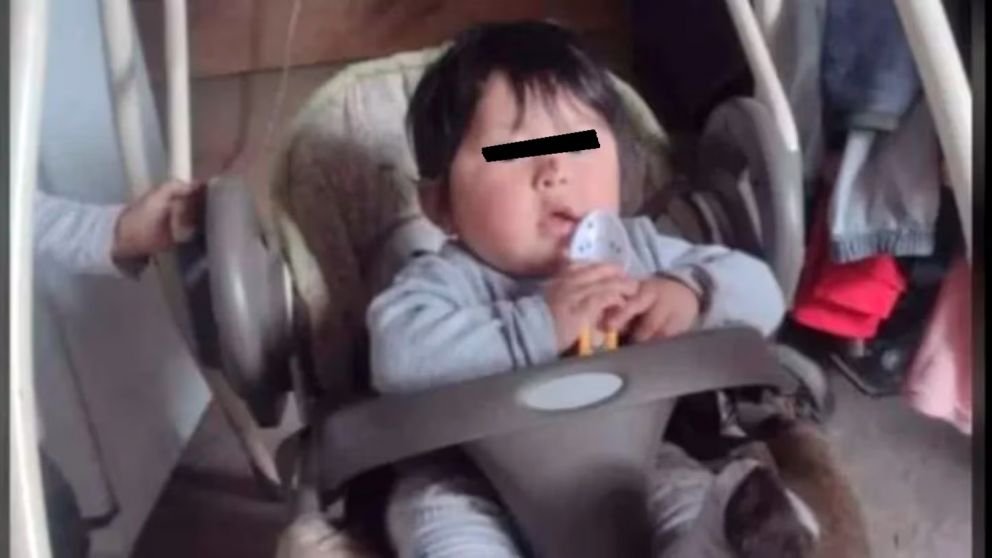 El ni�o falleci� producto de las consideradas heridas provocadas por los animales.