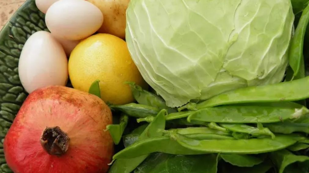 "Feria Minorista de Alimentos" en Quilmes: dónde y cuándo será