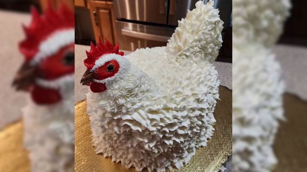 La chica pidió una torta con forma de gallina para homenajear a su mascota, pero le llegó algo muy diferente (Captura TikTok).