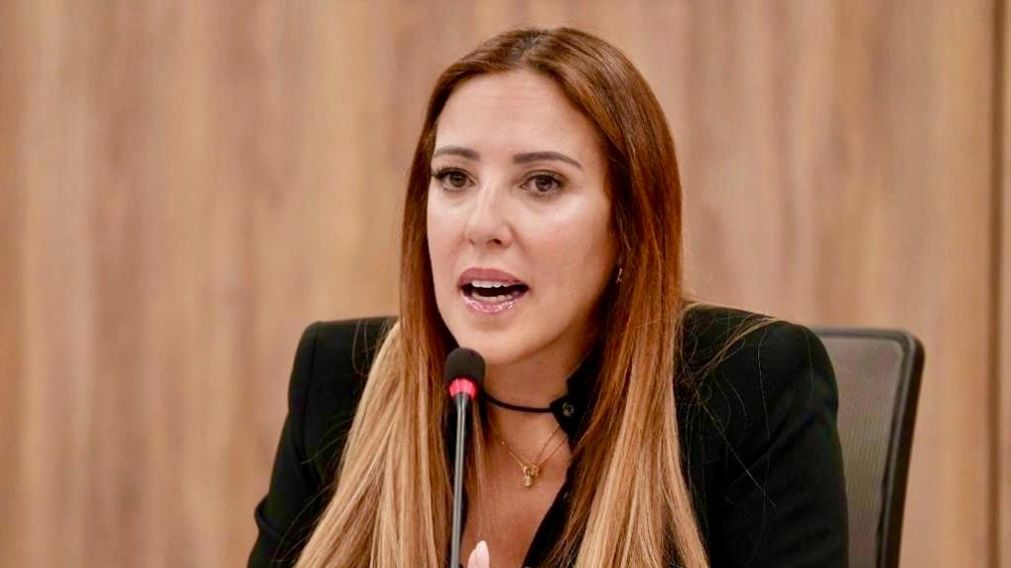 Presentan un proyecto para suspender embargos de ARCA y aliviar las deudas de las PyMEs