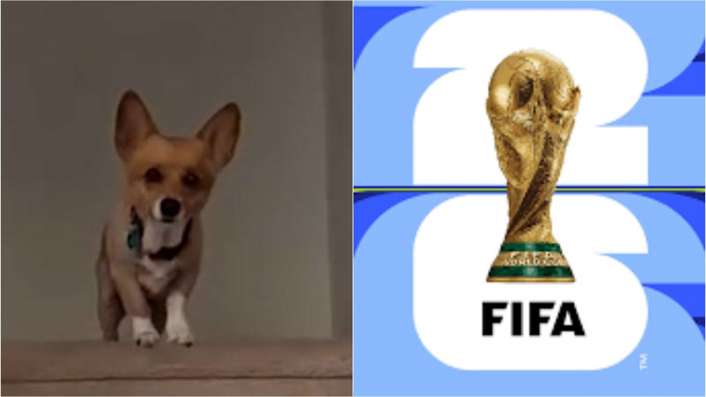 Un perro es furor en las redes sociales por predecir los clasificados del Mundial 2026: �c�mo le ir� a la Selecci�n Argentina?