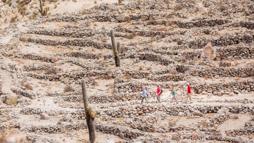 Un camino inca que parece detenido en el tiempo y sorprende con postales inolvidables