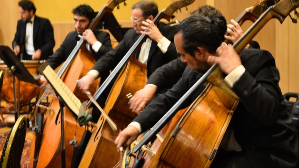 Cuentos, fantasía y música en vivo: la nueva apuesta de la Sinfónica de Salta