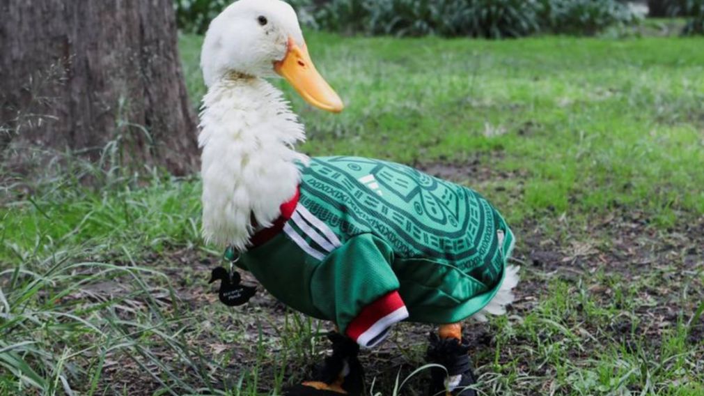 La mascota que causa furor en las redes sociales durante los primeros días de la copa del mundo.