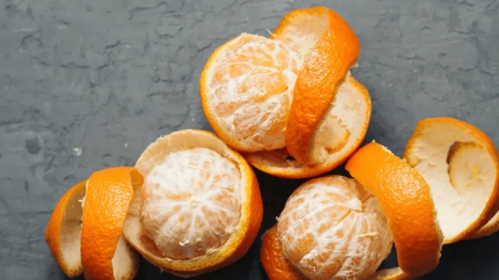 ¿Por qué aconsejan poner cáscaras de mandarina cerca de las ventanas y puertas?
