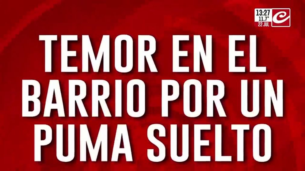 Crónica HD