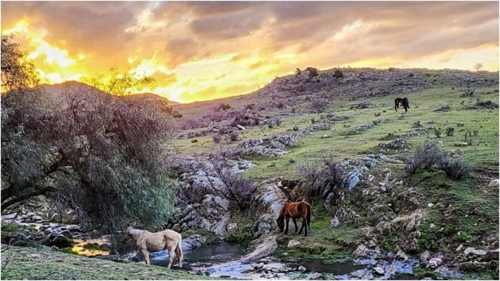 La localidad de Villa Ventana es ideal para los amantes de la naturaleza.