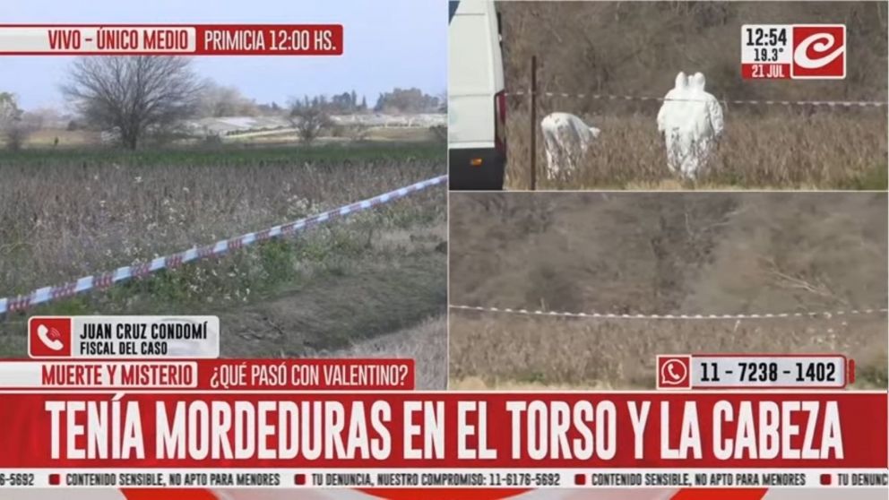 El fiscal del caso confirmó que Valentino, de dos años, murió tras ser atacado por varios perros en una zona rural de La Plata.