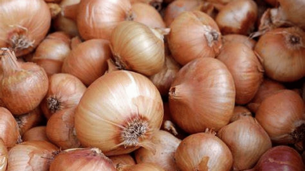¿Se puede comer una cebolla blanda o con partes oscuras? Claves para saber si está en mal estado y evitar riesgos.