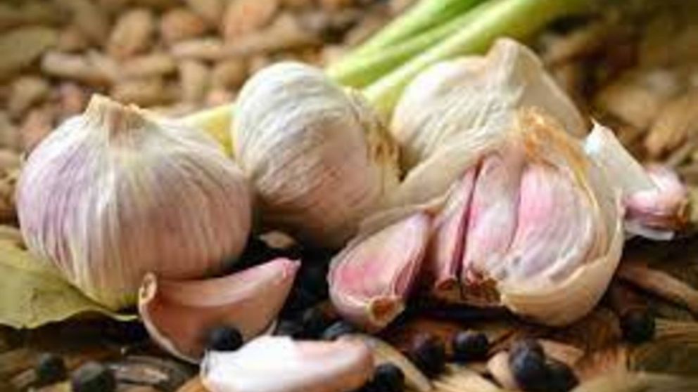 Si al ajo le sali� un brote se puede comer, no es necesario desecharlo.