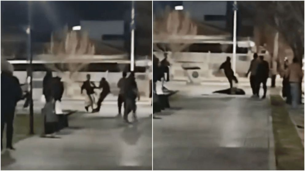 Un testigo filmó la salvaje agresión.