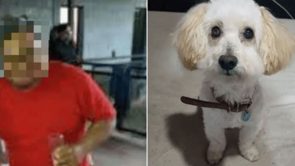 El dueño del pitbull, y el caniche asesinado (Gentileza Jujuy al Momento).